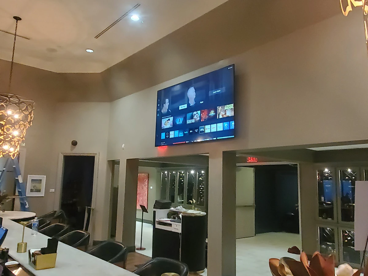 American Home Cinemas home cinema installation photo 4 in Lutz, FL
