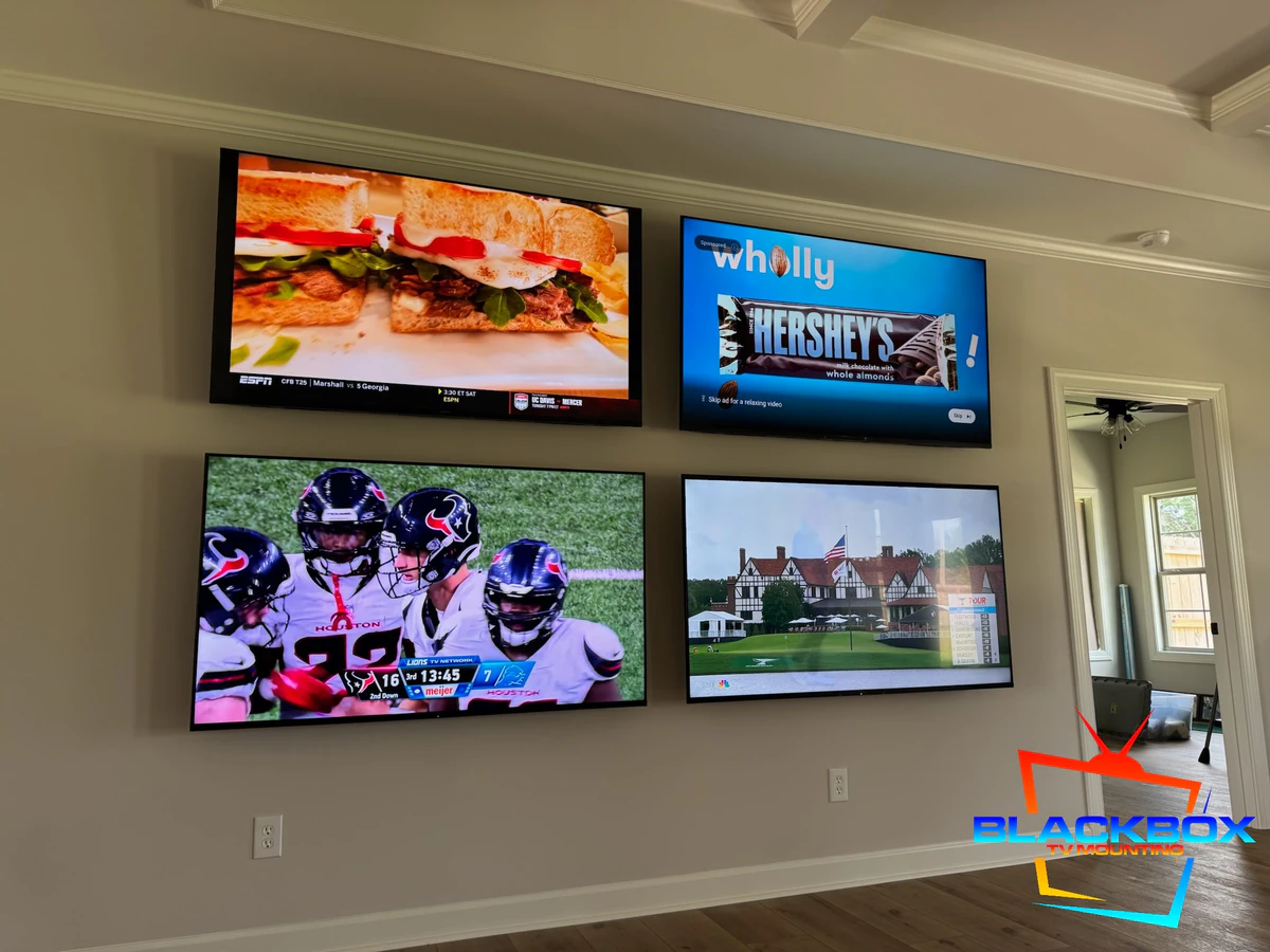 Blackbox TV Mounting — Home Cinema Installation in Dothan, AL