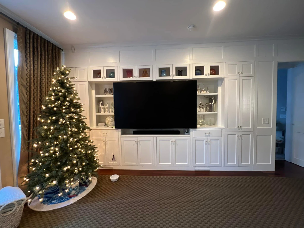 Carolina Audio and Video home audio installation photo 3 in Van Wyck, SC