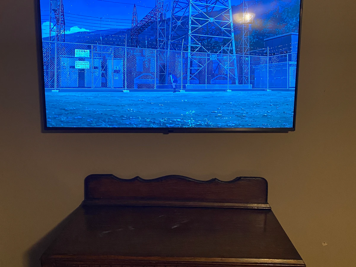 Carolina Elite Home Entertainment , LLC. home cinema installation photo 3 in Alliance, NC