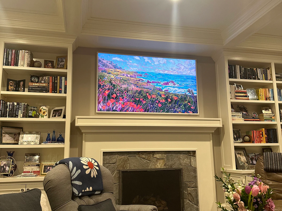 CMTV Mounting home cinema installation photo 4 in Abell, MD
