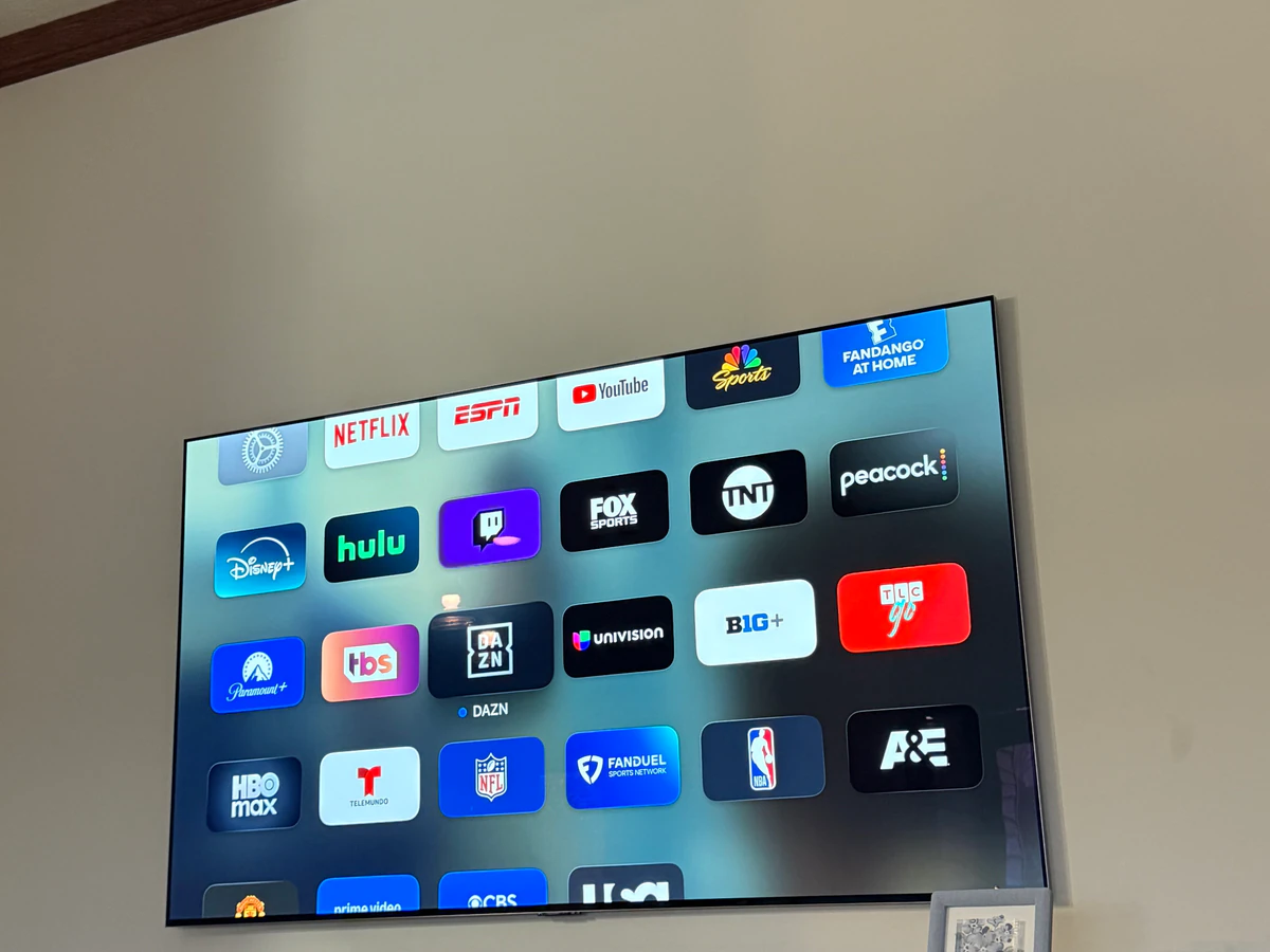Complete Electronics home cinema installation photo 2 in Omaha, NE