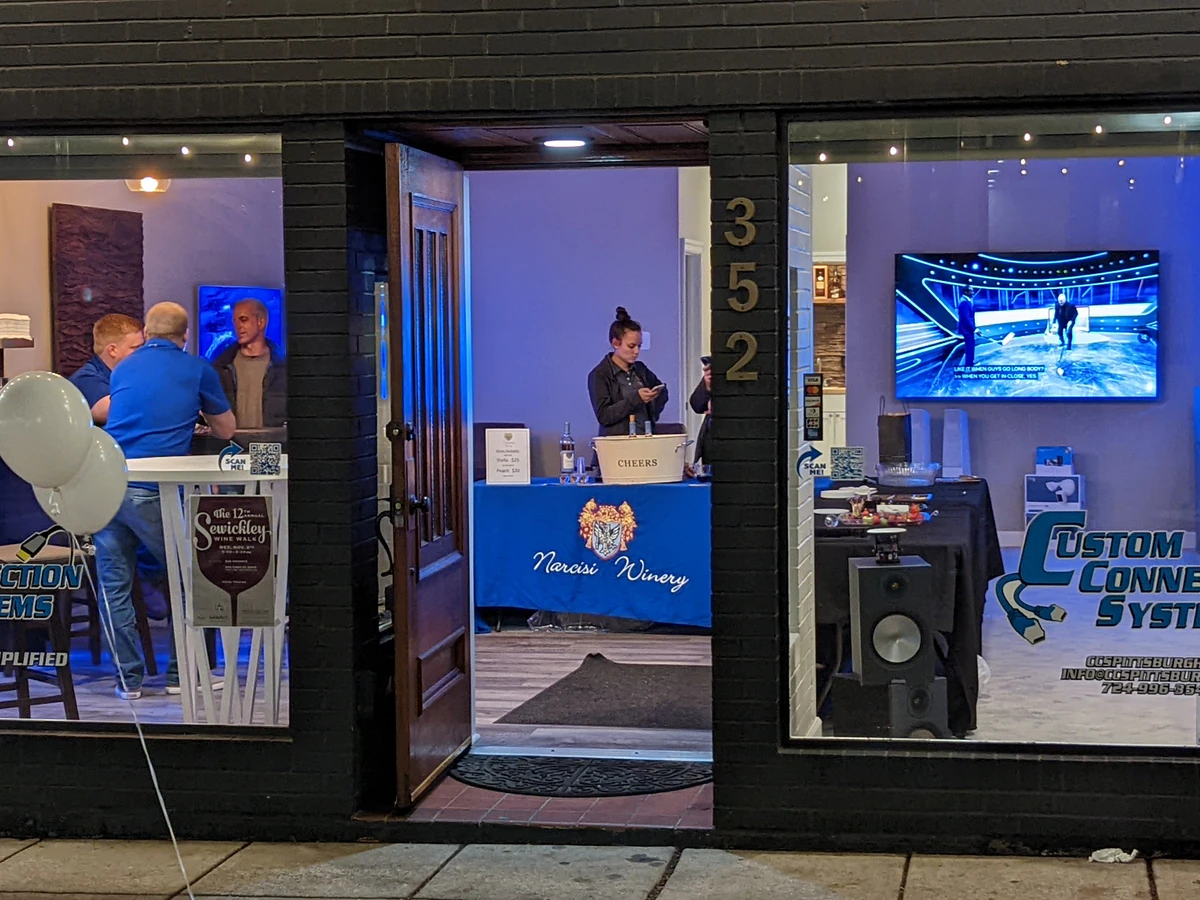 Custom Connection Systems L.L.C. — Home Theater Installation in Sewickley, PA