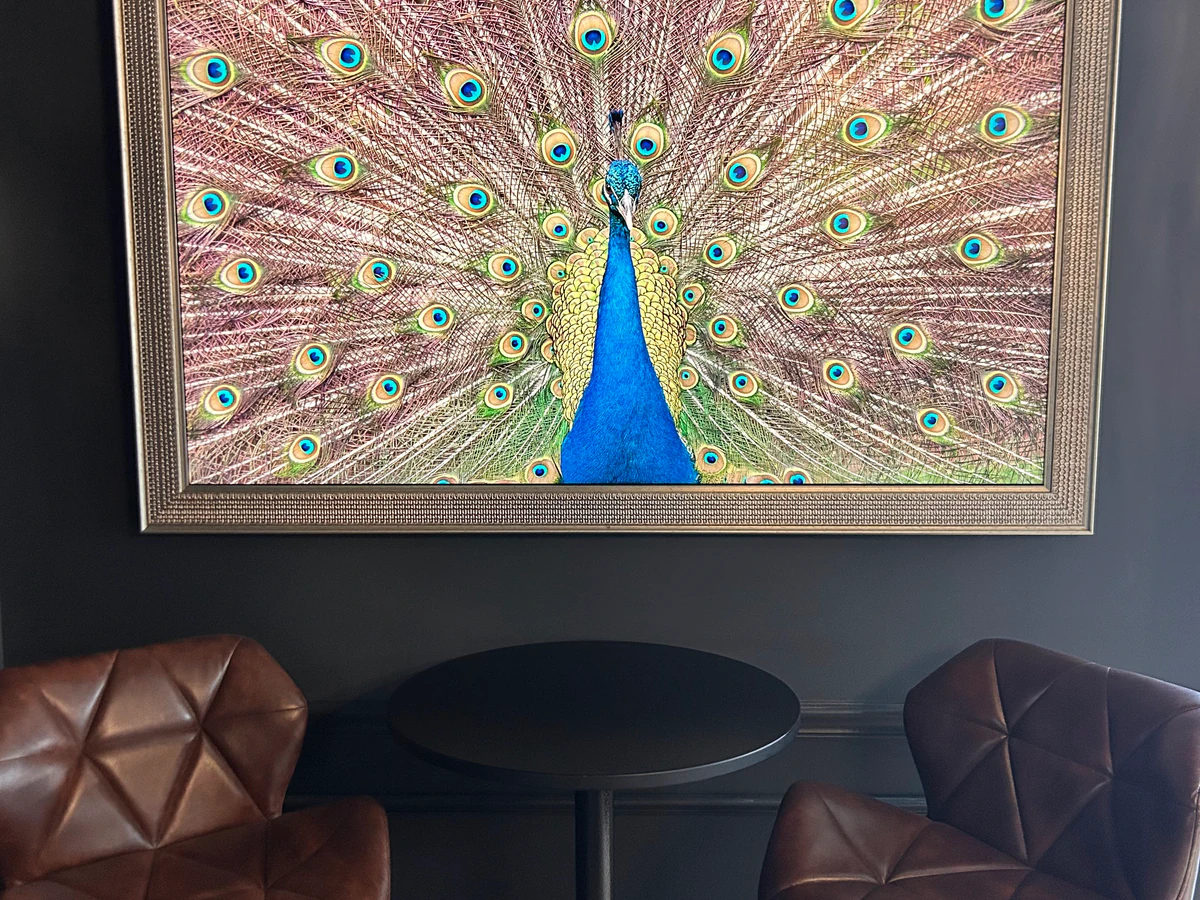 Genesis Tech audio visual consultant photo 4 in Mechanicsburg, PA