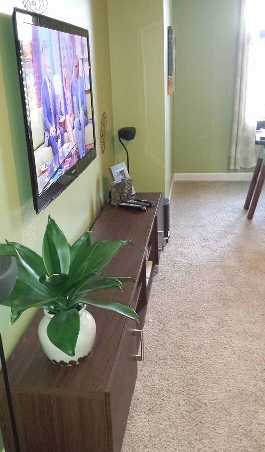 Jmo-Audio-Video Customizing Installations home theater installation photo 2 in Warren, MI
