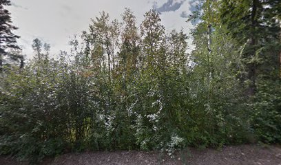 Crystal Clear Audio Video — Audio Visual Consultant in Fairbanks, AK