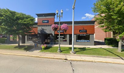 Electronics Solutions LLC — Home Audio Installation in Lake Geneva, WI