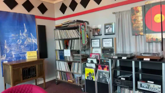 Lavish home audio installation photo 2 in Santa Rosa, CA