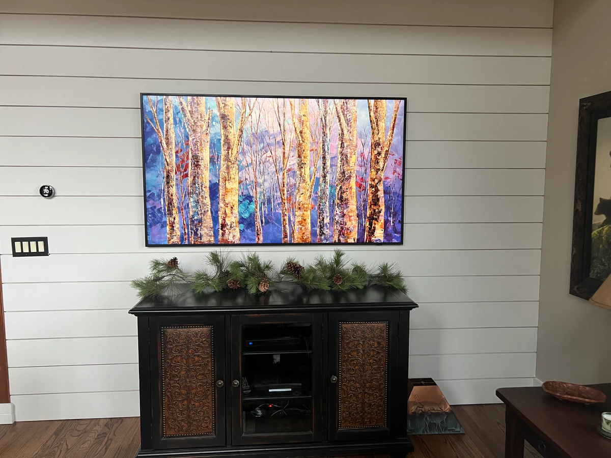 Mount It Up TV's audio visual consultant photo 3 in Colorado Springs, CO