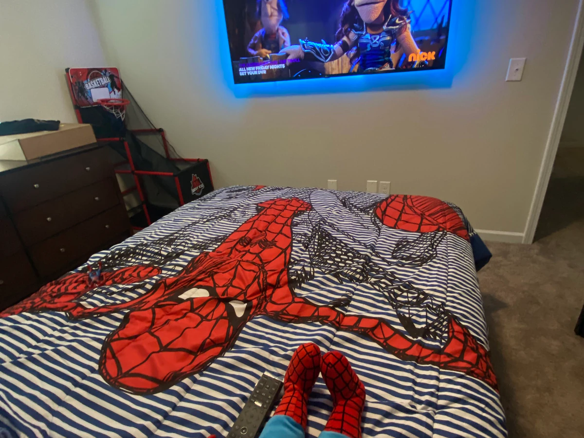 Mount'n Lion LLC home cinema installation photo 4 in Augusta-Richmond County, GA
