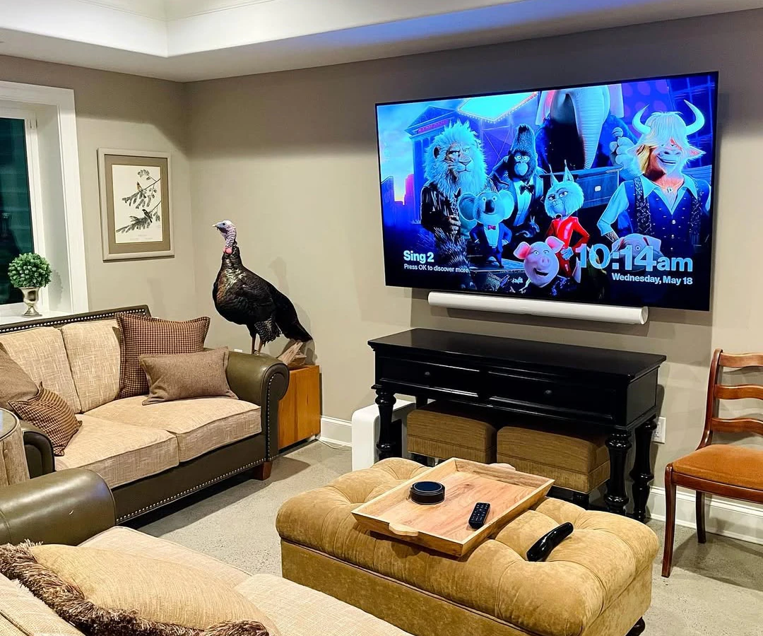ProTech Audio & Video audio visual consultant photo 4 in Philadelphia, PA