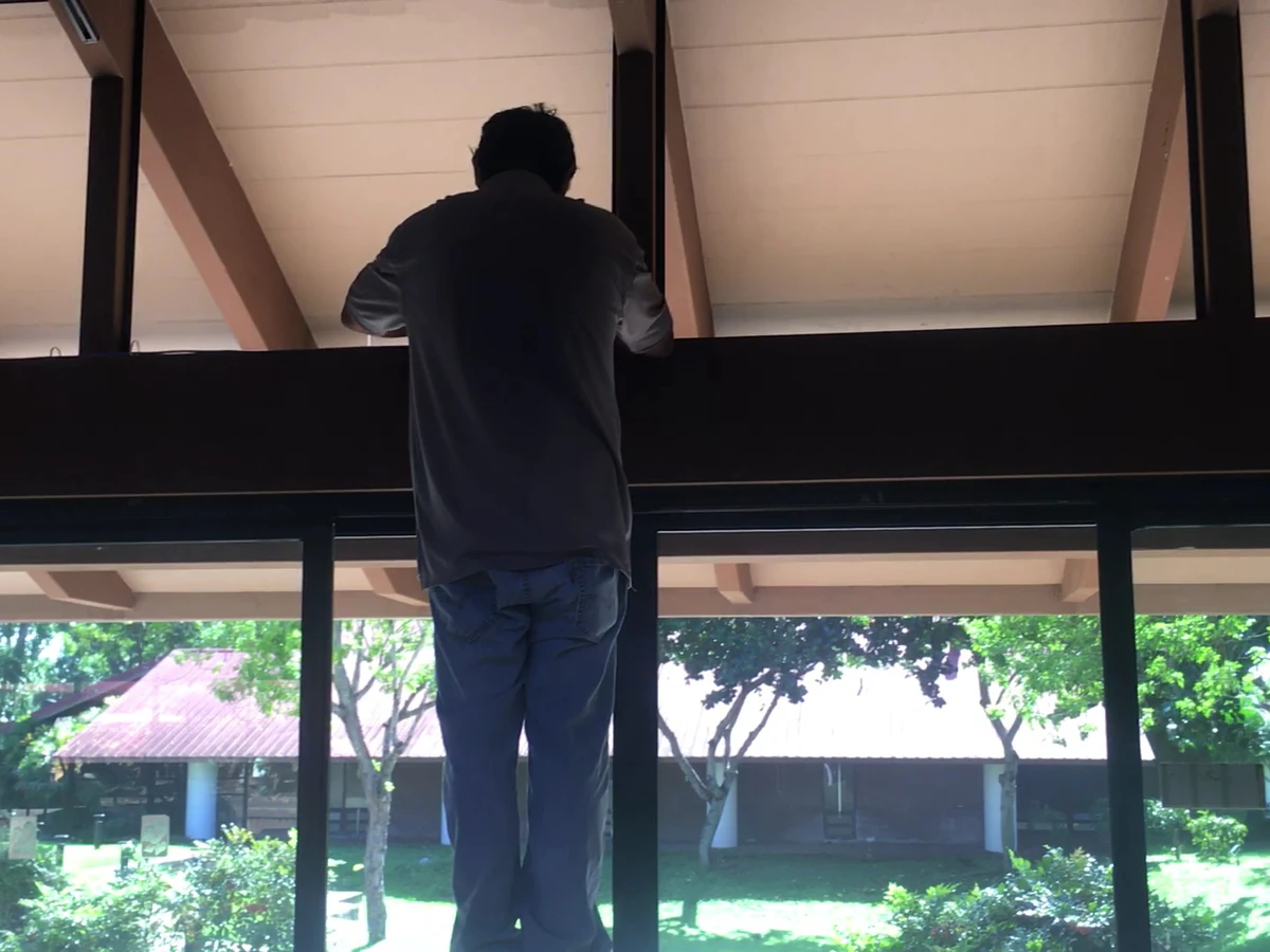 Pueo Audio & Pueo Home — Home Theater Installation in Honolulu, HI