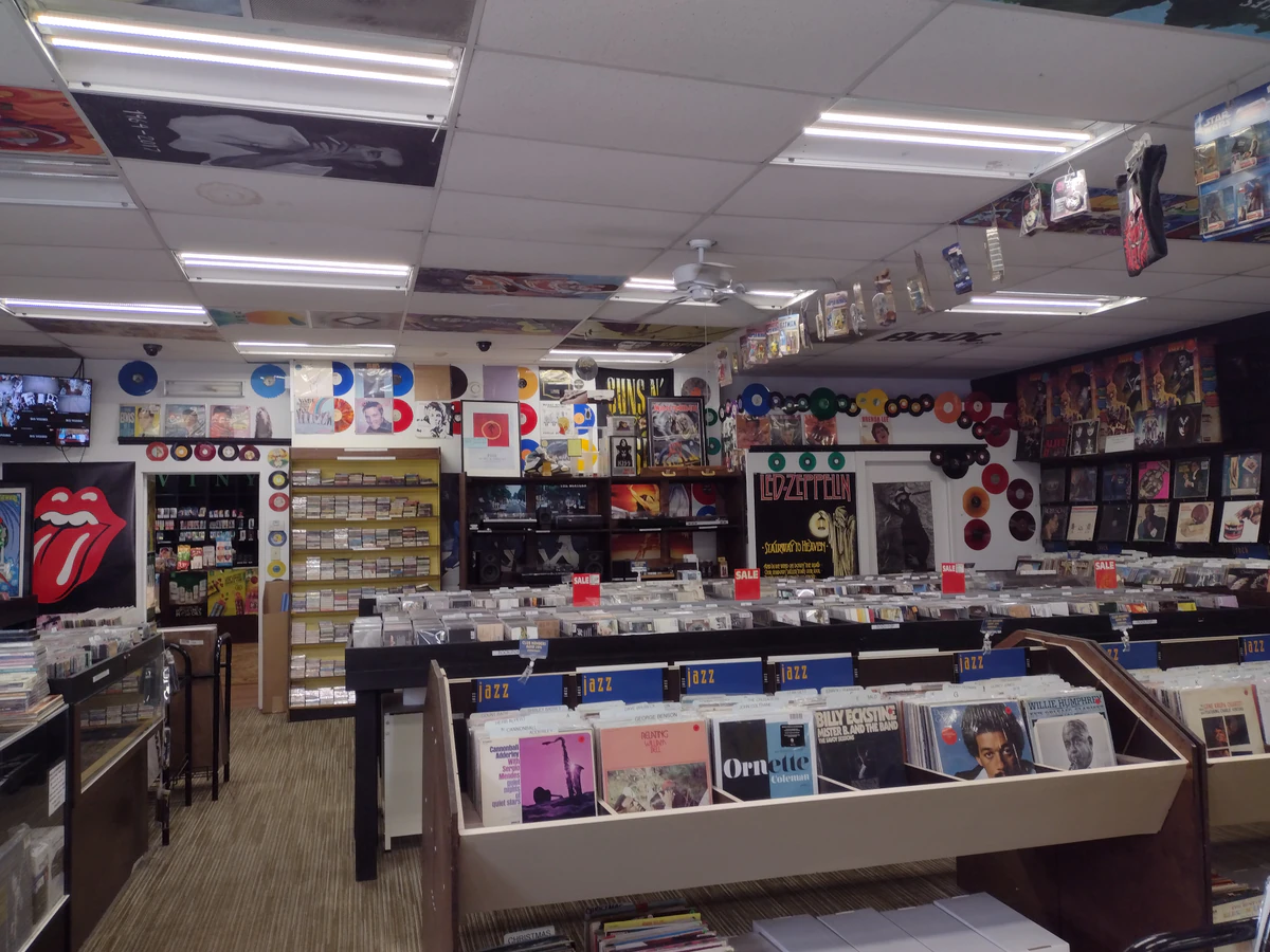 Rody's Audio Warehouse — Audio Visual Equipment in Savannah, GA