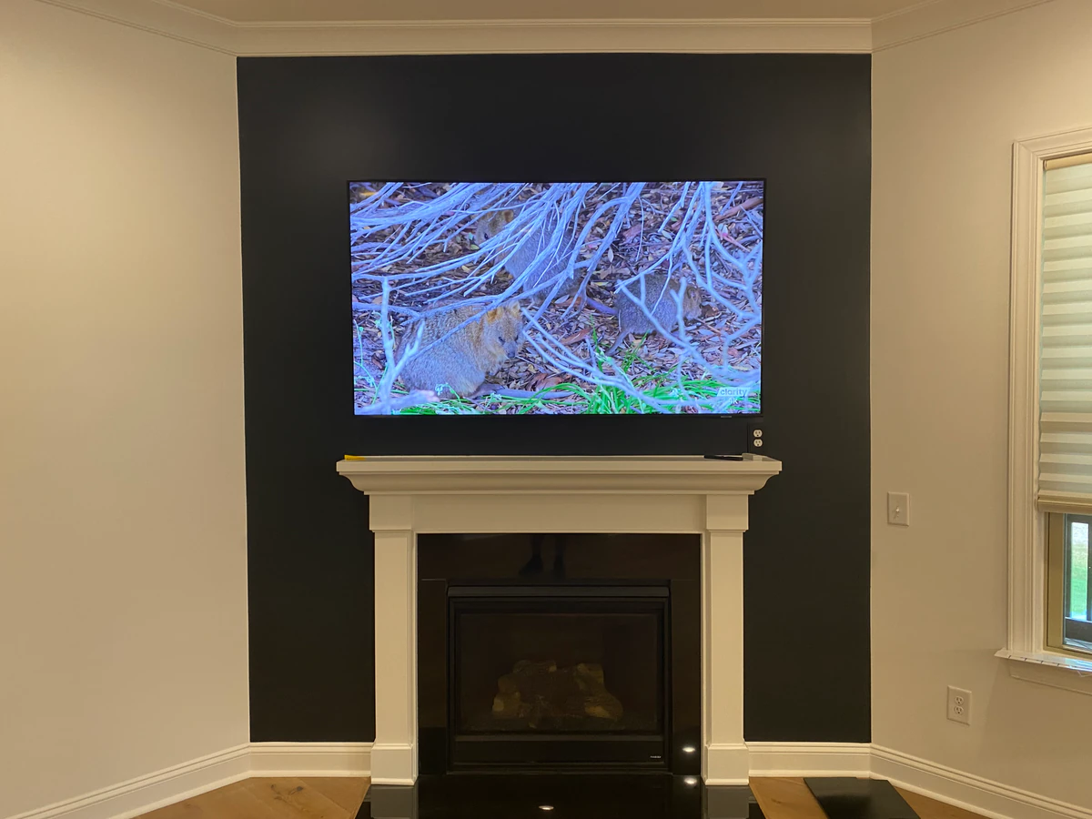 Sight and Sound by Design LLC home theater installation photo 3 in Fort Mill, SC