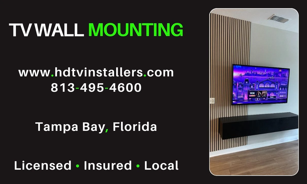 Tampa's Pro TV Mounting & Home Theater Installation Company — Home Cinema Installation in Tampa, FL