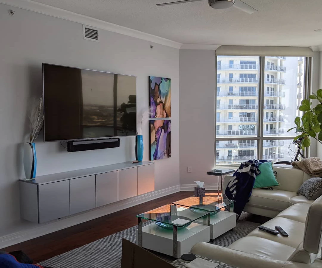 Techoll (Innovating Technology Solutions) home theater installation photo 2 in Tampa, FL