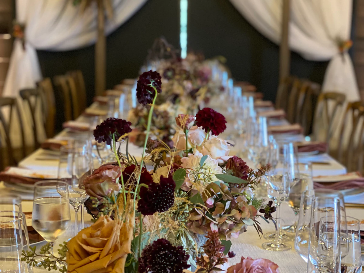Techtonic Events LLC audio visual equipment photo 3 in Santa Rosa, CA