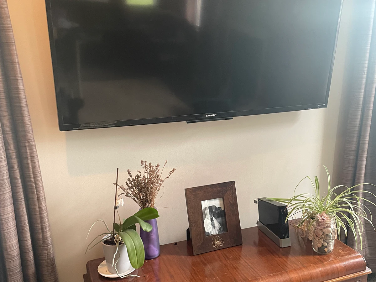 The Mounting Gentleman home cinema installation photo 4 in Rogers City, MI