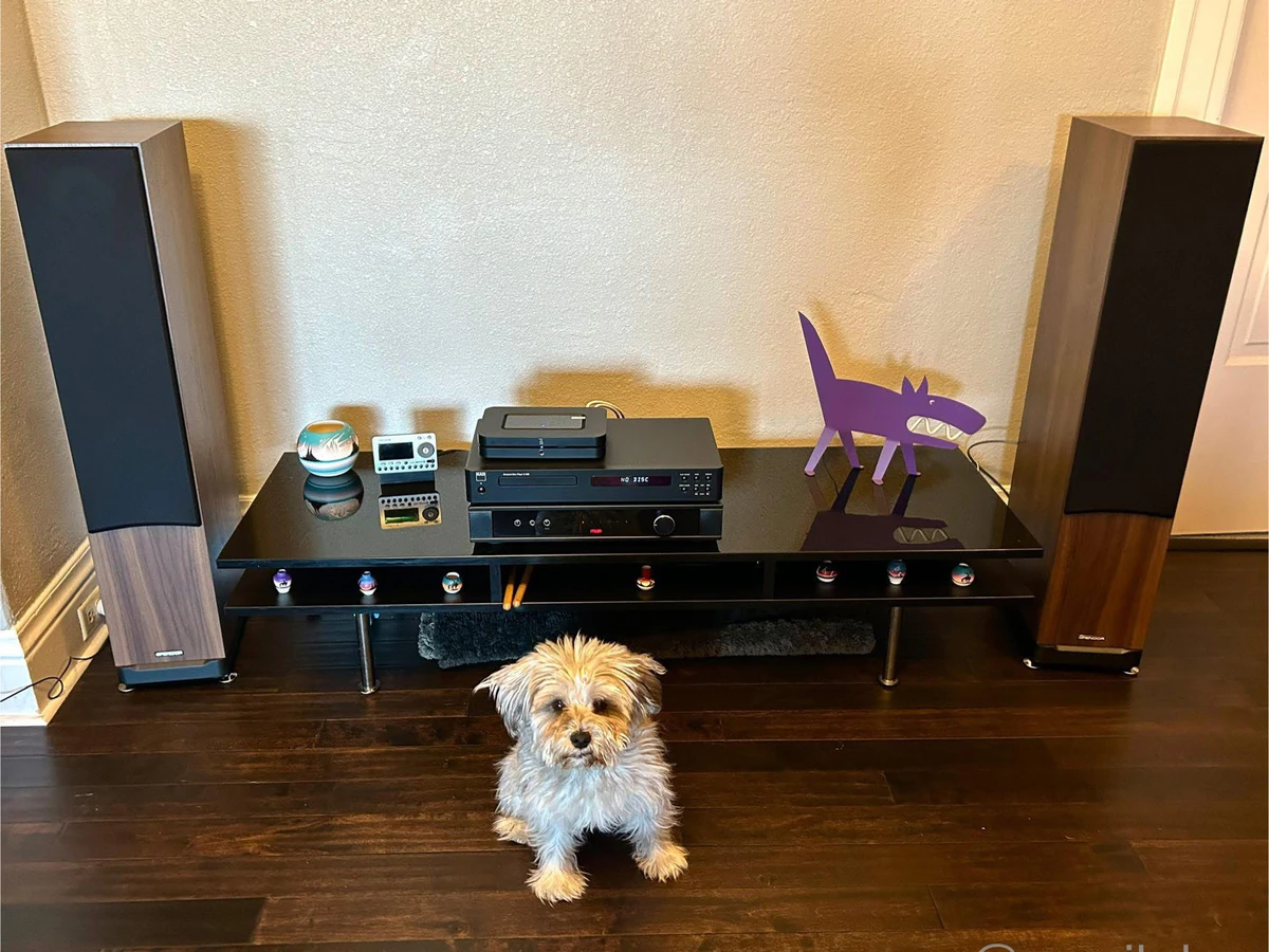 Tone of Music Audio home audio installation photo 3 in San Francisco, CA
