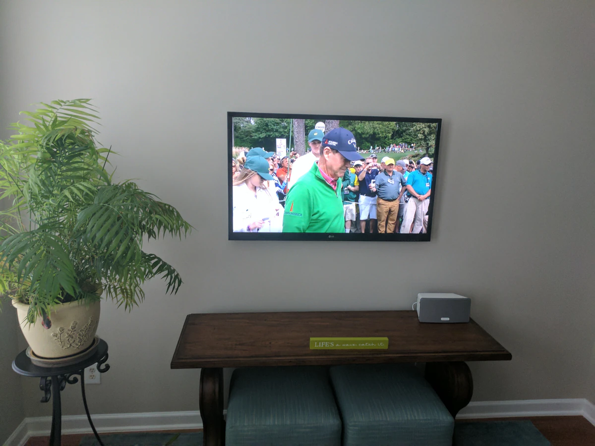 Total Entertainment Solutions home cinema installation photo 3 in Adams Run, SC