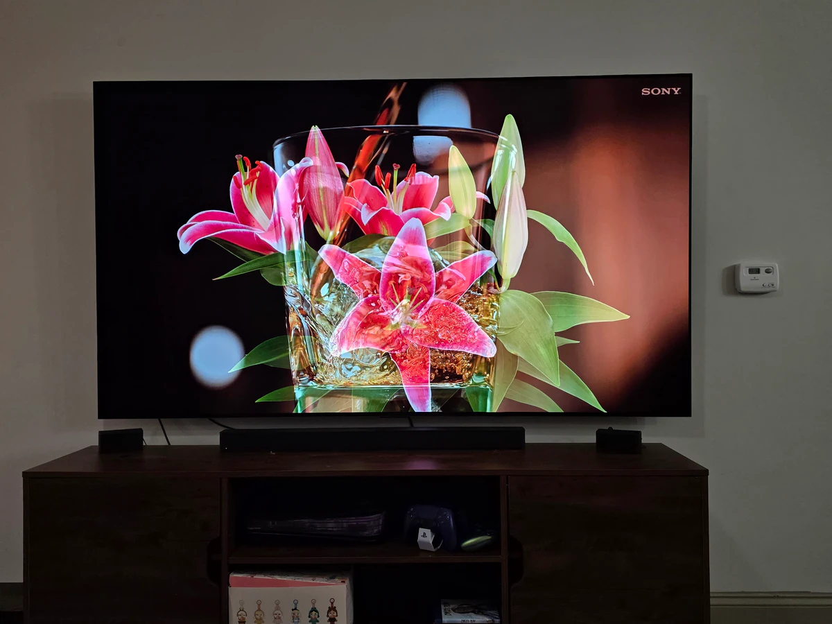 TVmtn home theater installation photo 3 in Greensboro, NC