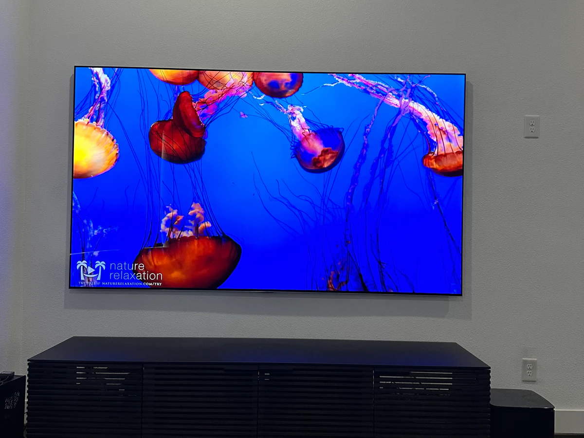 Value Electronics home theater installation photo 4 in Scarsdale, NY
