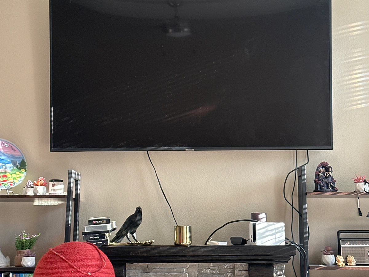 Vizion Tv Mounting - Same Day Installation home cinema installation photo 2 in Brightwood, OR